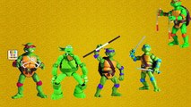 Nursery Rhymes for Kdis Ninja Turtles Cartoon Finger Family | Ninja Turtles Finger Family Rhymes