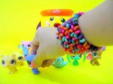 Cookie Jar Surprise 20 LPS Littlest Pet Shop Blind Bags Play-Doh Craft N Toys