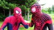 Spiderman vs Frozen Elsa Twin Challenge! w/ Pink Spidergirl, Anna & Kristoff, Maleficent &