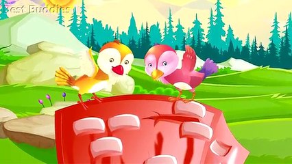 Two Little Dicky Birds | Popular Nursery Rhyme For Children and Kids Songs | Best Buddies