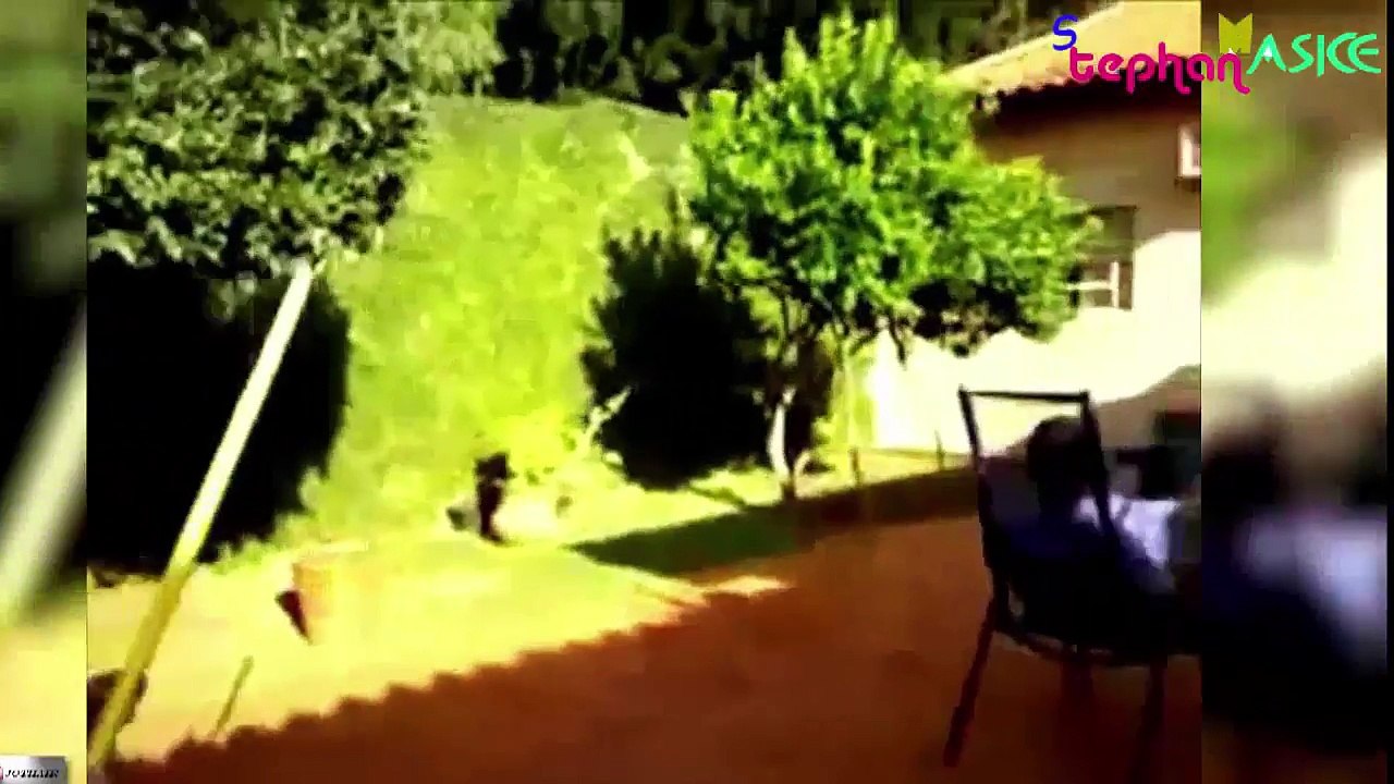 Indian Funny Videos _ Funny videos 2016 of May _ Whatsapp Funny Videos P2-WIeEOgeFy7g