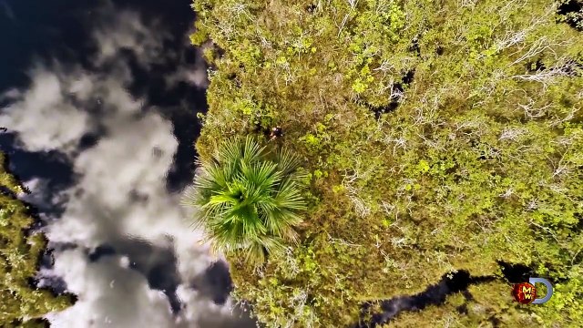 Eaten Alive Sneak Peek Sun Dec 7 9 8c on Discovery