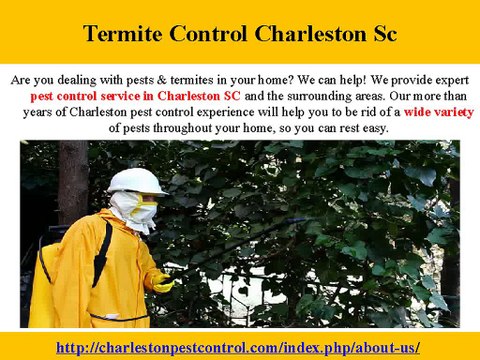 Best Termite Control, Inspection Services in Charleston SC
