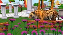 Colors Gorilla 3D Color Songs for Children | Tiger Colors for Kids | Learning Colours for Babies