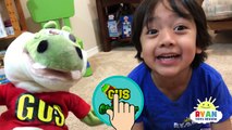 Hide and Seek Playing Chase with Gus The Gummy Gator! Kids playtime Rainbow Gummy Jello egg!-XnGCbPPbuv0