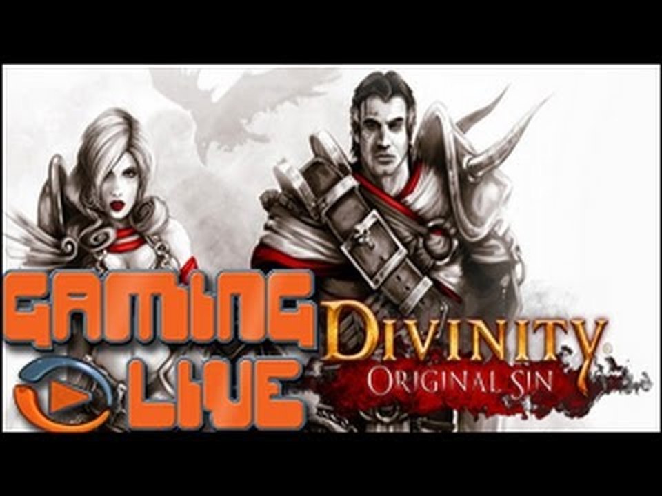 GAMING LIVE Plus - Divinity : Original Sin : Les combats
