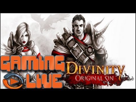 GAMING LIVE Plus - Divinity : Original Sin : Les combats