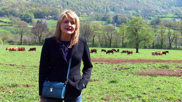 Cie Bouche à Bouche - Tentative(S) de Résistance(S) 2015 - Zone Libre