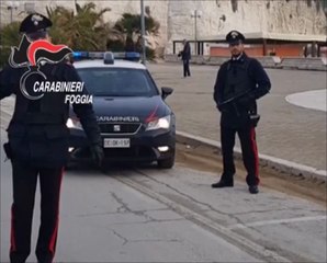 Foggia - maxicontrollo del territorio e perquisizioni: 16 arresti