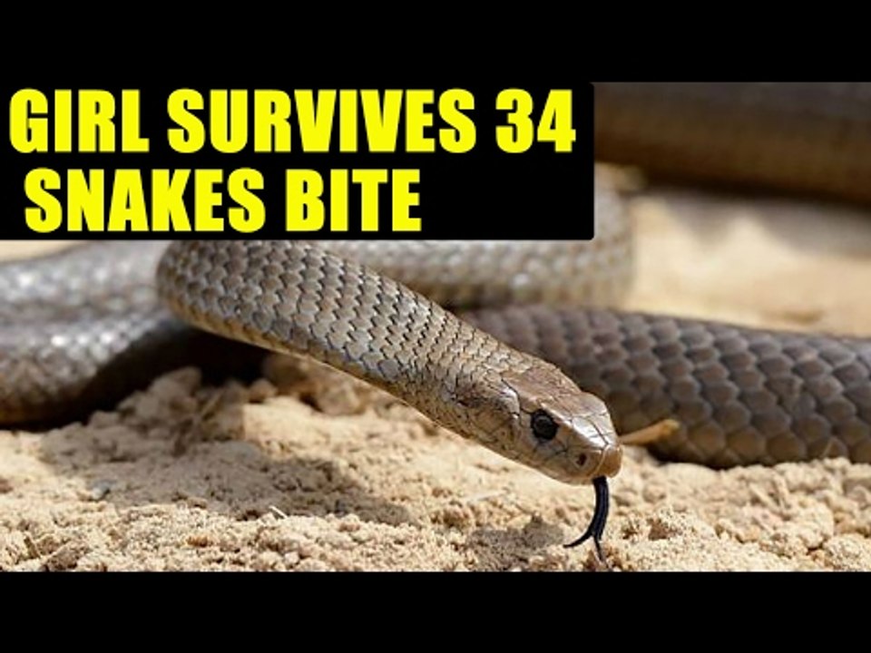 Himachal girl survives 34 snakes bite over 3 years | oneindia News