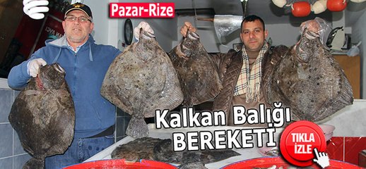 Pazar'da kalkan balığı bereketi