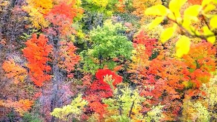 Stunning Fall Colors Minnesota