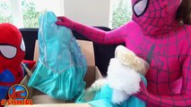 Pregnant PINK SPIDERGIRL Spiderbaby! vs Spiderman Baby Spidey & Frozen Elsa Funny Superher