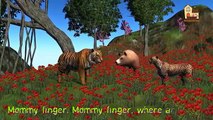Gorilla Vs Tiger | 3d Animals Finger Family Nursery Children animated songs