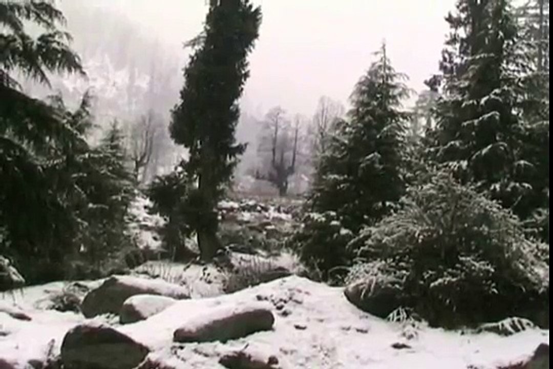 Live Video of Beautiful Snow Falls and Tourist Enjoying at Manali
