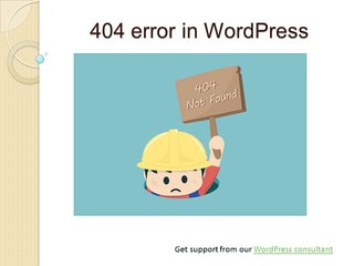 WordPress 404 error support