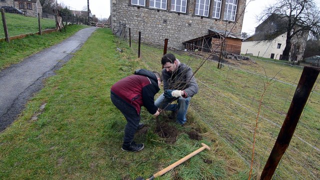 Les élèves de Marchin plantent des arbres