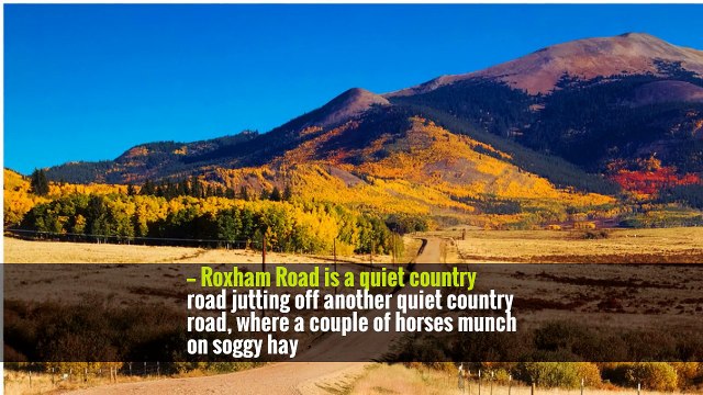 — Roxham Road is a quiet country road jutting off another quiet country road, where a couple of horses munch on soggy hay