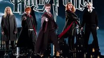 Harry Potter new Finger Family | Nursery Rhyme for Children | 4K Video
