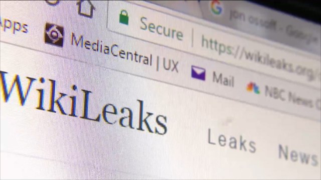 ويكيليكس تنشر 8700 وثيقة