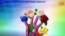 Flowers Cartoons Animation Singing Finger Family Nursery Rhymes for Preschool Childrens S