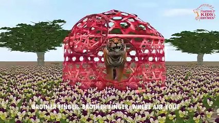 Animals Finger Family || dog ,Cat,Rooster Finger Family || Nursery Rhymes