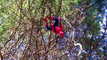 Spiderman vs Congelado Elsa Embarazada, Spiderbaby, Elsa Bebé en la vida real de la Diversión de los Superhéroes de mo