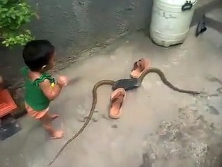 anak kecil bermain ular