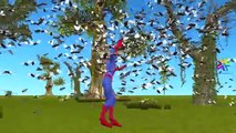 La grasa de spiderman en 3d de dibujos animados de animación Dedo de la familia de la canción de Spiderman canciones infantiles para niños