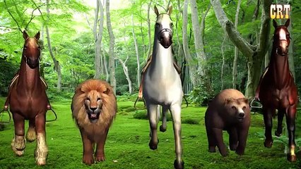 Finger Family Rhymes | Lion And Hores Finger Family Collection