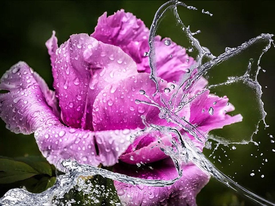 Harmonization and Relaxation Music - Música de Harmonização e Relaxamento