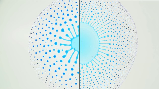 Un scientifique s'amuse avec des gouttes d'eau et d'huile et le résultat est magnifique