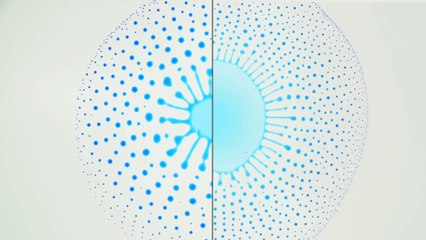 Un scientifique s'amuse avec des gouttes d'eau et d'huile et le résultat est magnifique