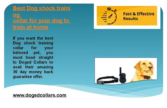Best dog shock training collar for your dog