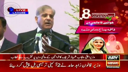 Working to transform Quaid's vision into a reality: CM Punjab