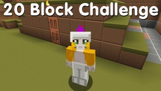 Minecraft PS4 - 20 Block Challenge - Hill Home (3)