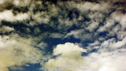 Nature, in the broadest sense, is the natural, physical, or material world or universe.