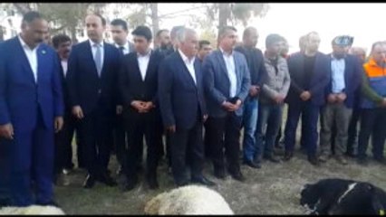 Deprem Bölgesinde Kurbanlar Kesildi