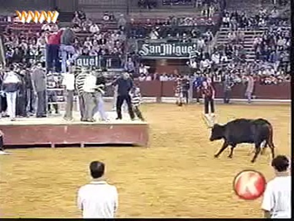 Funny Bull Try To Kill The Man