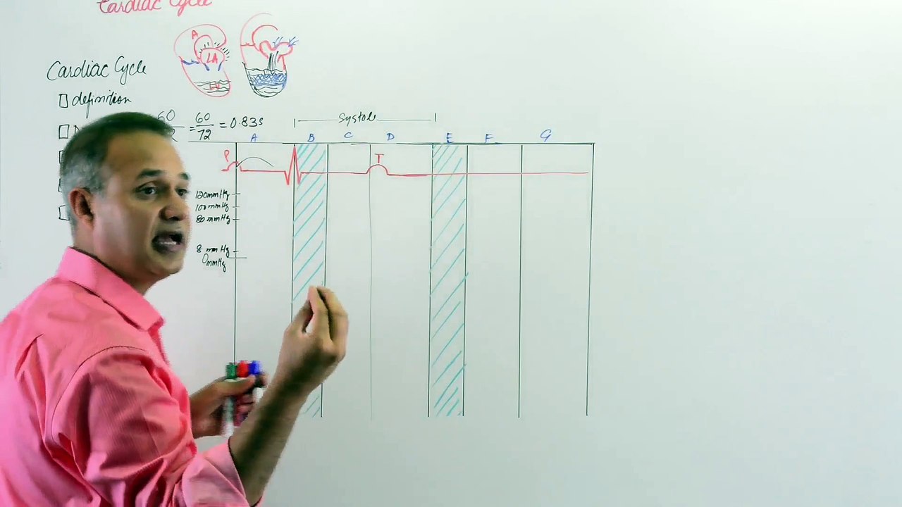 Cardiac Cycle and its physiology, detailed and easy explnation