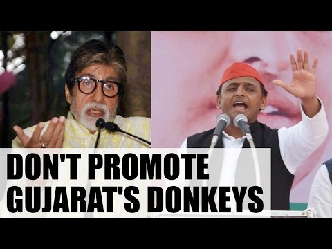 Akhliesh Yadav urges Amitabh Bachchan not to promote 'Donkeys of Gujarat' | Oneindia News