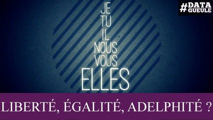 Inégalité des sexes : « Liberté, Égalité, Adelphité » (Data Gueule)