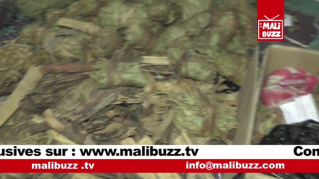 MÉDECINE TRADITIONNELLE L'AFRIQUE A EXISTÉ DES SIÈCLES AVANT LES BLANCS DIXIT FAMOUROU WOYOKOTÉ