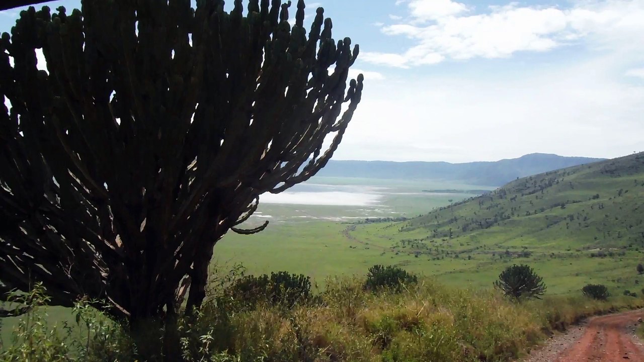 ARRIVEE AU CRATERE NOGORONGORO
