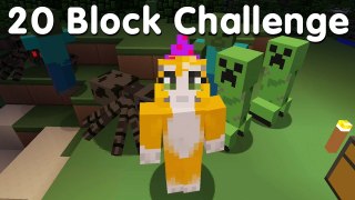 Minecraft PS4 - 20 Block Challenge (1)