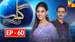 Gila Episode 60 Full HD HUM TV Drama 8 March 2017