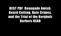 BEST PDF  Renegade Amish: Beard Cutting, Hate Crimes, and the Trial of the Bergholz Barbers READ