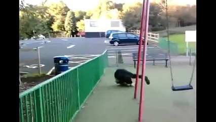 İnanılmaz Sakar İnsanların yaptıkları -yok böyle şey