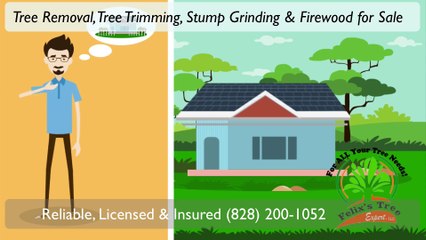 (828) 200-1052  Best Tree Removal Service in Caney Fork NC