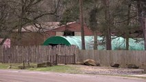 Rhino in Paris wildlife park killed by poachers